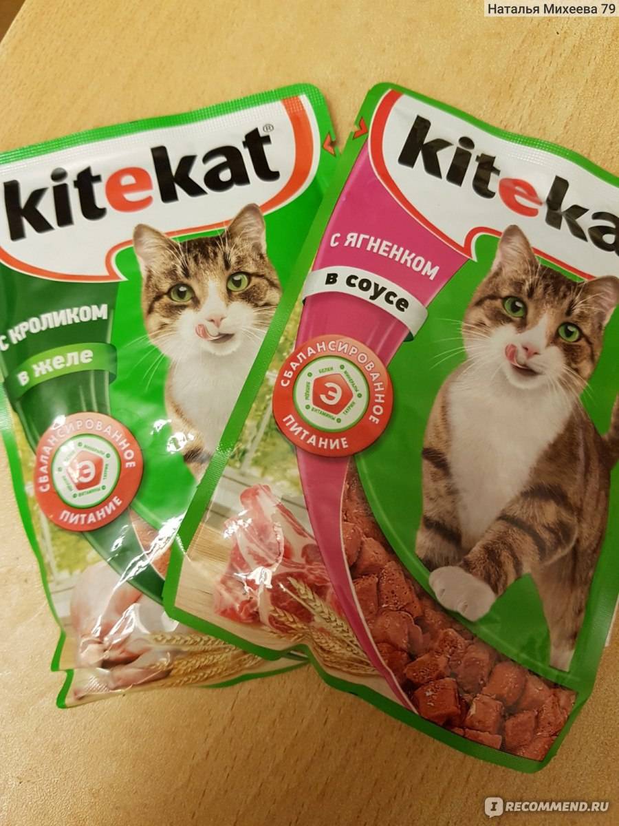 Состав, плюсы и минусы корма для кошек «китикет»: сухие гранулы и влажный продукт в пакетиках