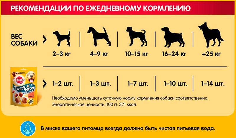 Сколько еды в день нужно давать собаке: как рассчитать норму кормления собаки и щенка натуральным кормом, таблица кормления по граммам
