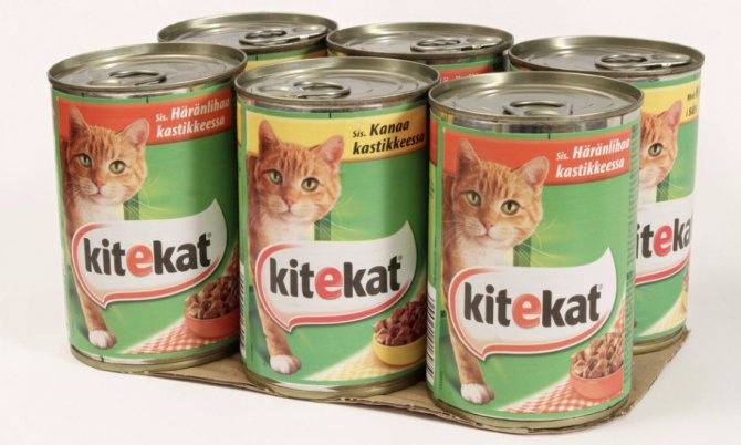 ᐉ обзор корма для кошек katty - ➡ motildazoo.ru