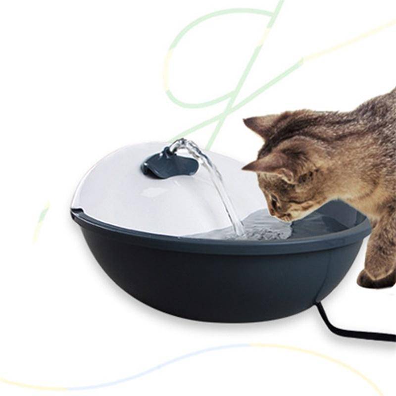 Автоматическая поилка: как выбрать полезное устройство для кошки