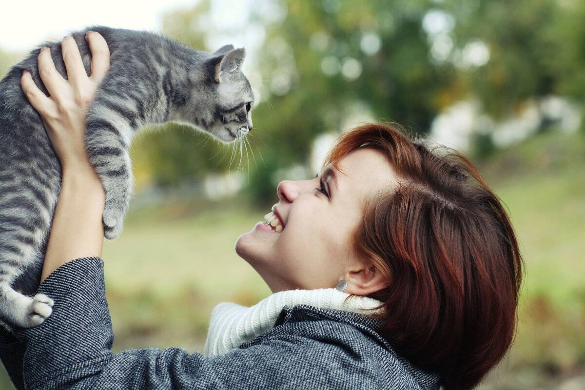 Почему мурлыкают кошки: физиология и психология
почему мурлыкают кошки: физиология и психология
