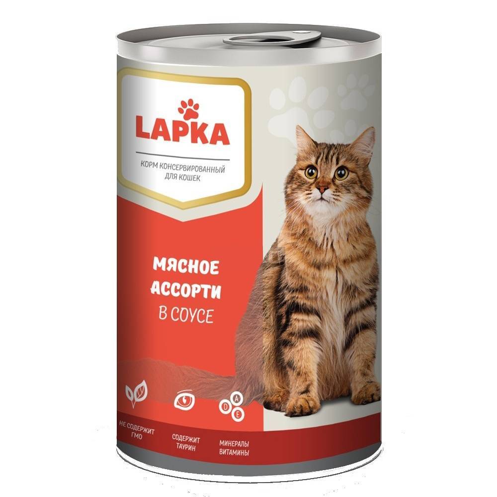 Farmina n&d корм для кошек: отзывы, где купить, состав