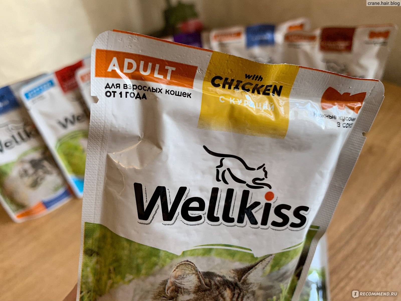 Корм для кошек wellkiss: отзывы ветеринаров и владельцев животных о нем, его состав и виды, плюсы и минусы