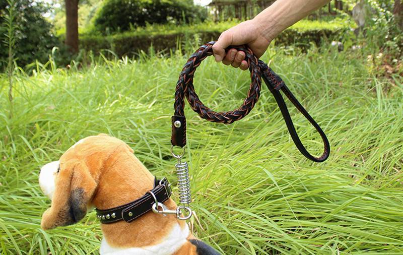 Ошейник для собаки своими руками: способы его быстрого изготовления из подручных материалов
