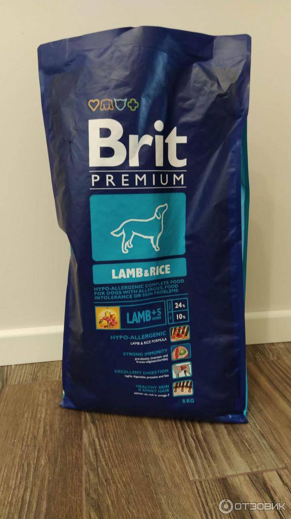 Корм для собак brit care: отзывы, разбор состава, цена - петобзор