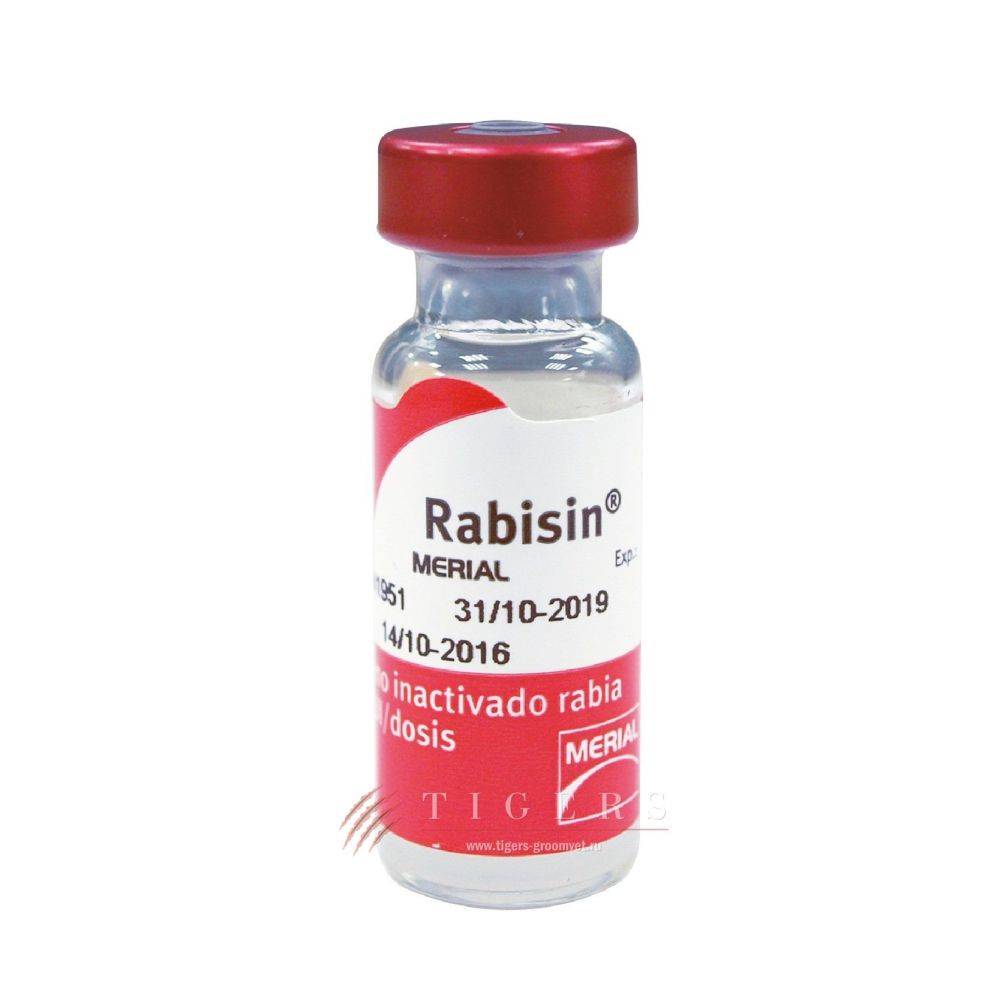 Рабизин вакцина для кошек │ инструкция  по применению рабизина коту
