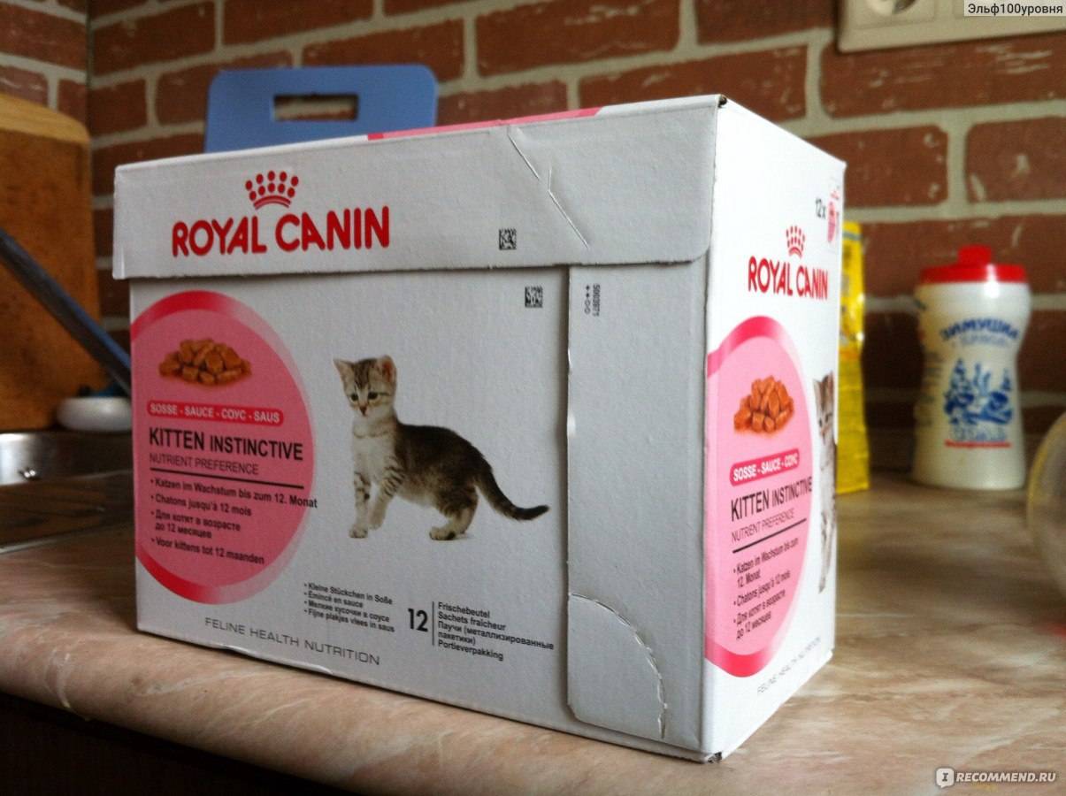 Роял канин для стерилизованных кошек и кастрированных котов