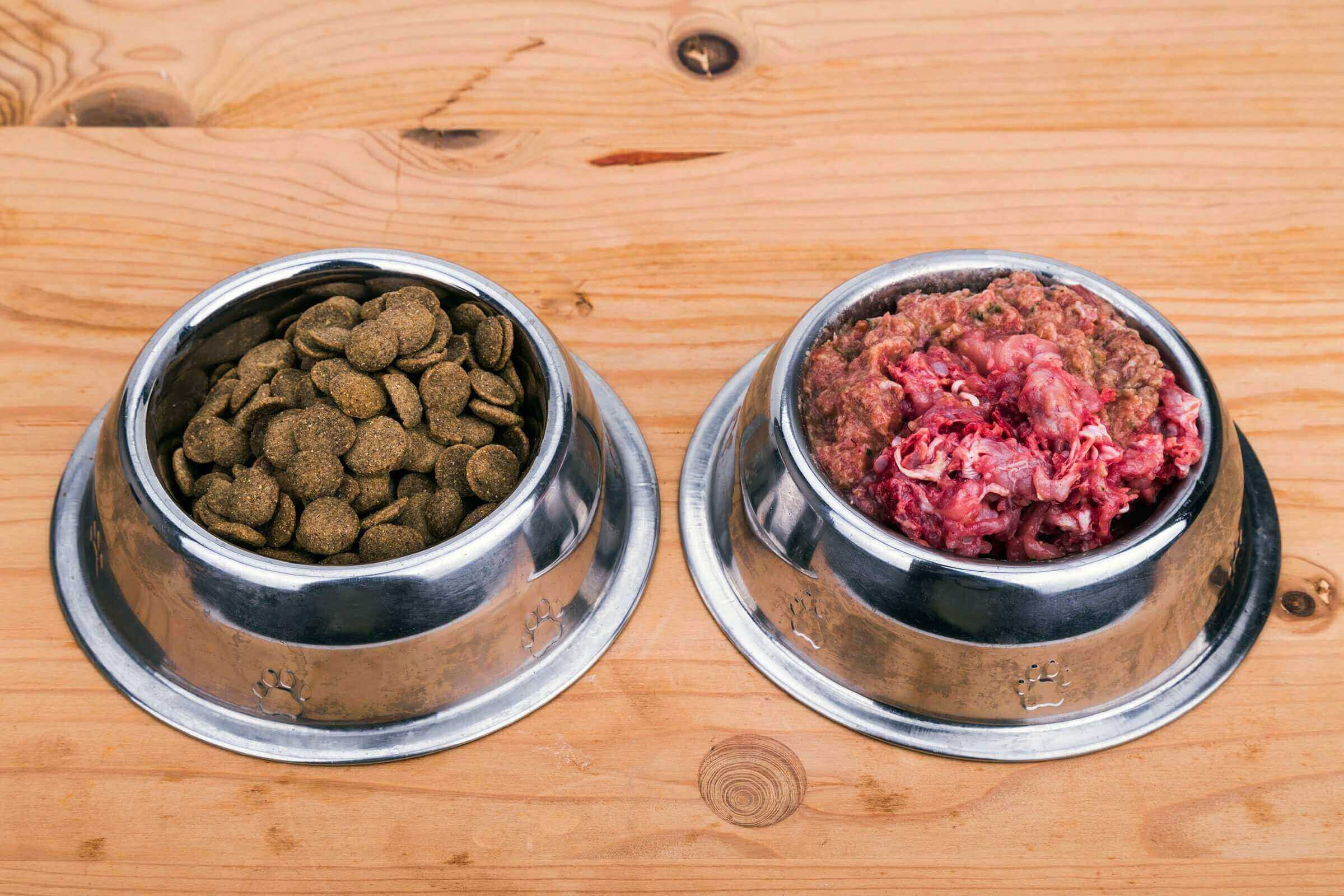 Говяжий рубец для собак: как готовить и давать, польза и вред, как часто можно кормить