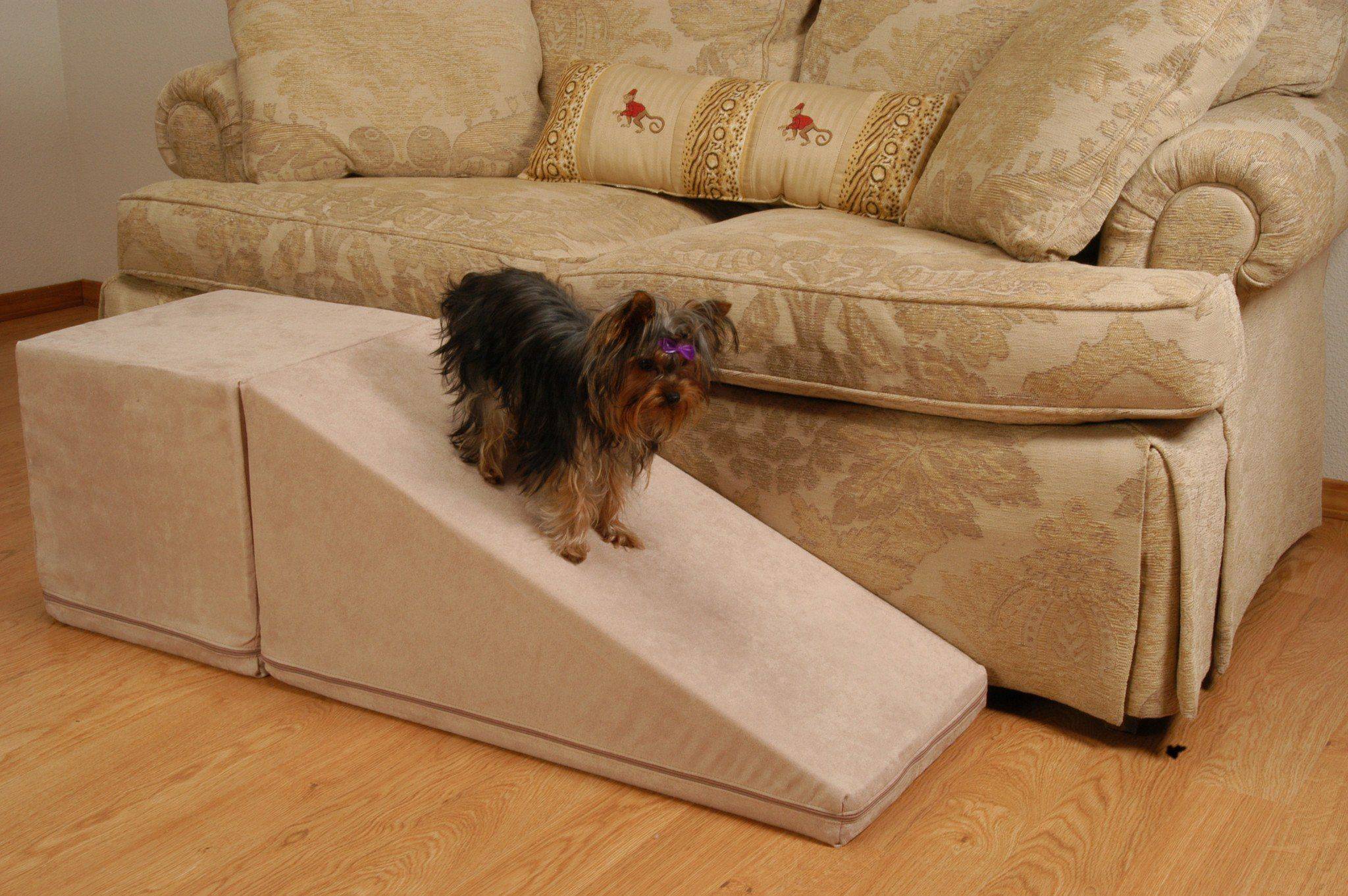 Лестницы для собак: ступеньки для собак мелких и крупных пород. как выбрать лесенку?