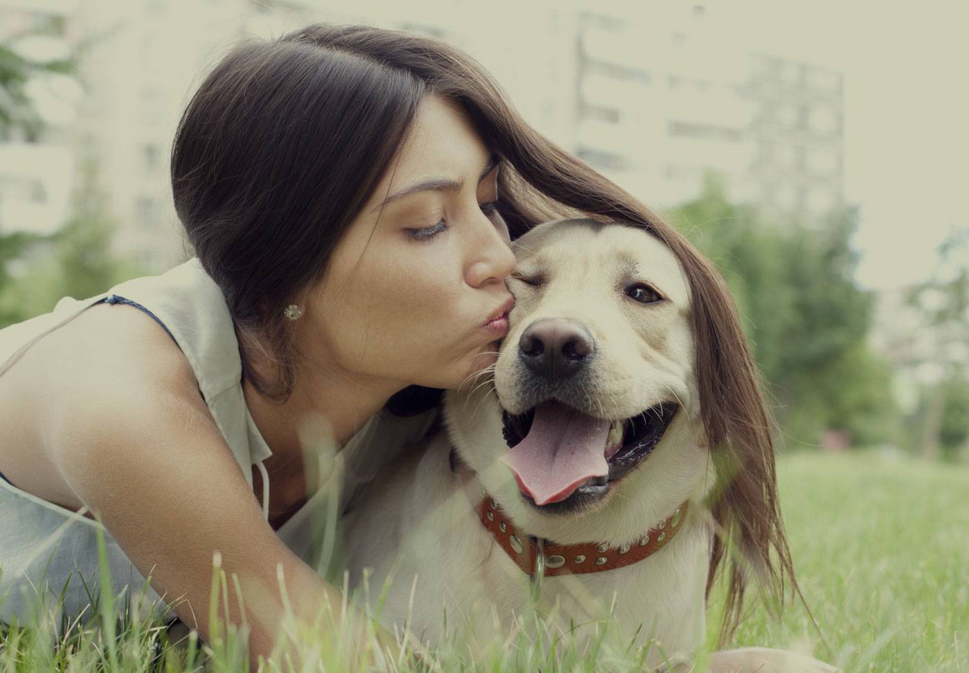 Почему мы любим собак больше, чем людей — и нормально ли это?