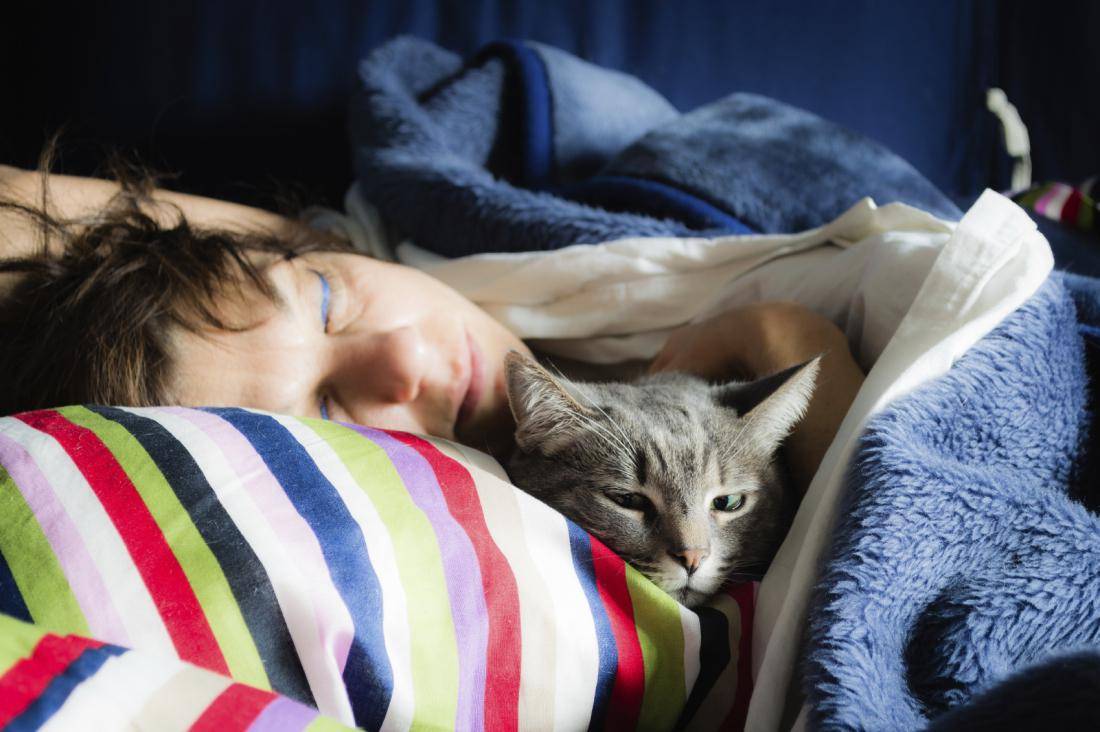 Почему кошка начала писать на одеяло на кровати и что делать владельцу