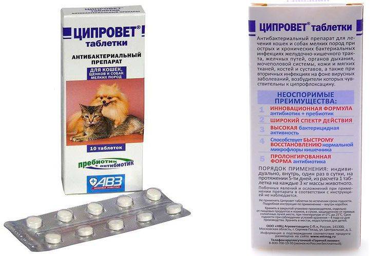 Ципровет (глазные капли) для кошек и собак | отзывы о применении препаратов для животных от ветеринаров и заводчиков