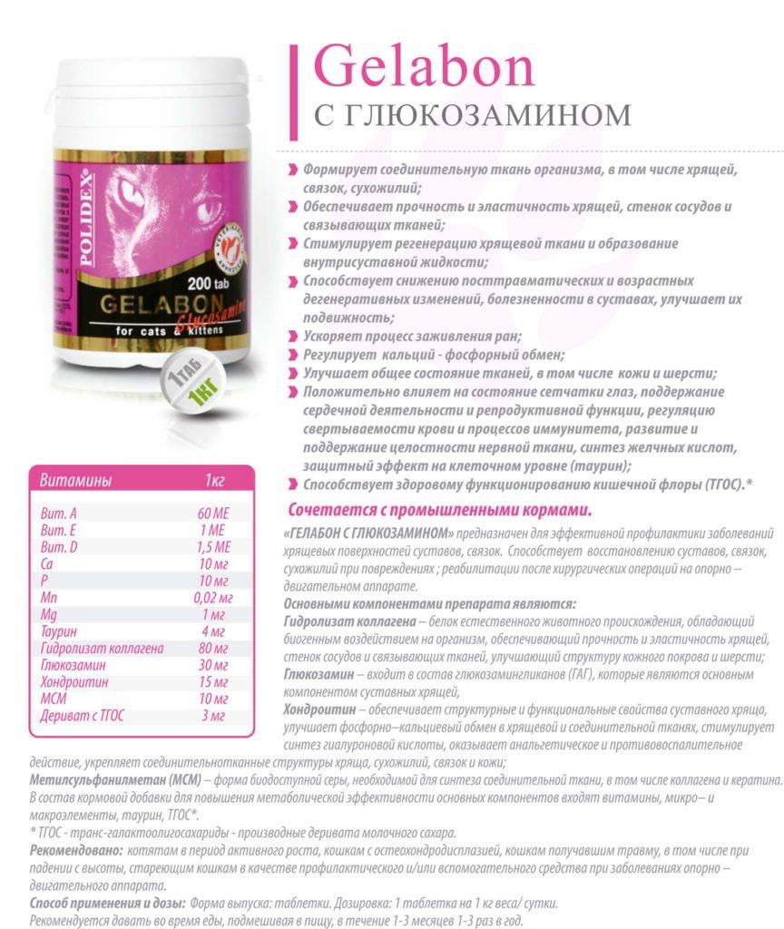 Гелабон плюс для собак: показания и инструкция по применению, отзывы, цена