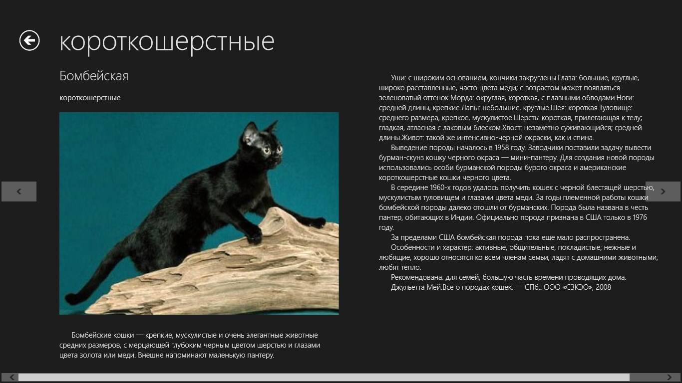 Порода кошек нибелунг — описание загадочных «кошек тумана» с противоречивым характером