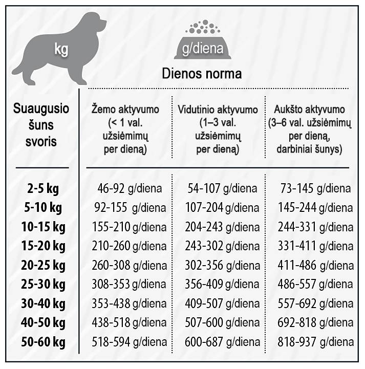 Режим кормления собак: сколько раз в день и как часто нужно кормить взрослую и маленькую собаку