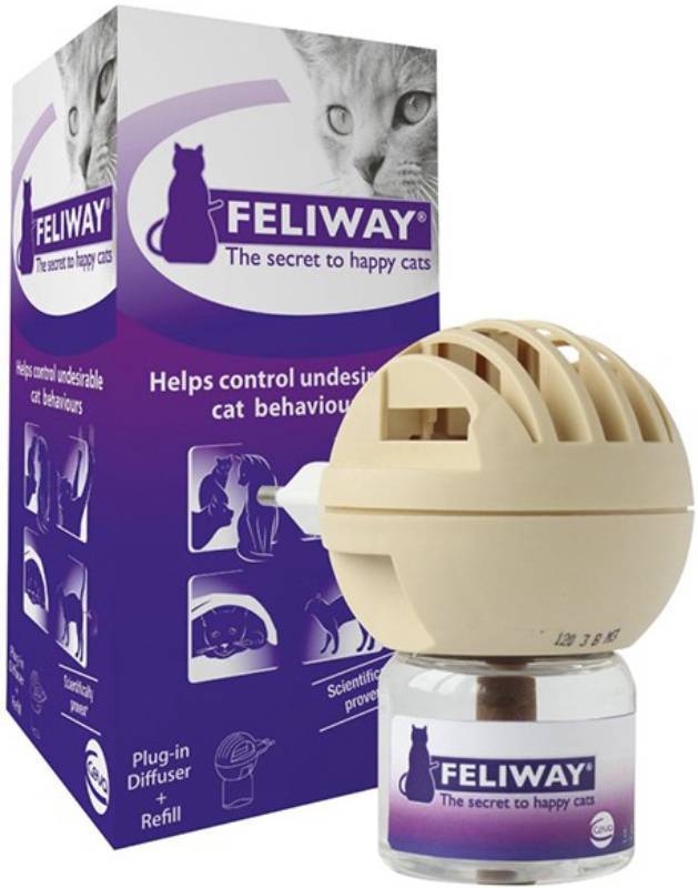 Феливей (feliway): спокойствие и дружелюбие кошки