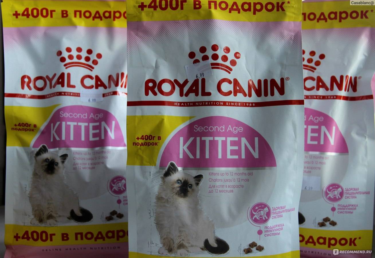 Гипоаллергенный сухой корм для кошек: какие корма не вызывают аллергию у котов? причины появления аллергии на еду