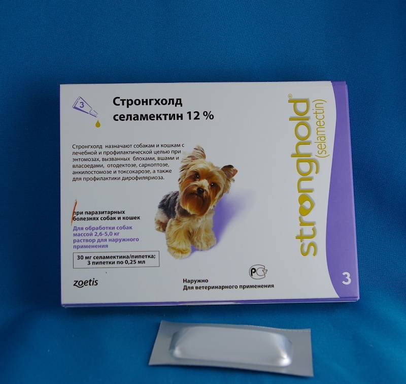 Стронгхолд 45 мг для кошек - купить, цена и аналоги, инструкция по применению, отзывы в интернет ветаптеке добропесик