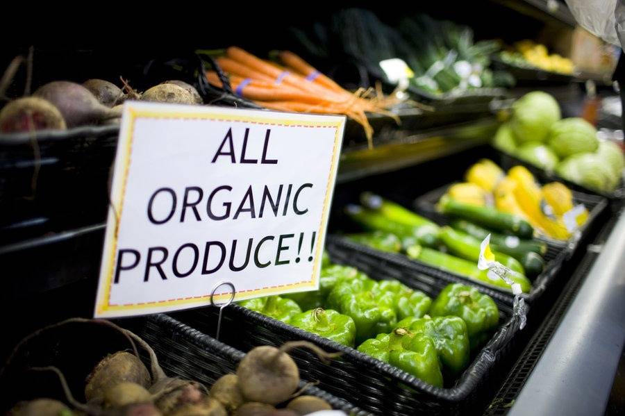 ГМО и органические продукты в питании домашних животных