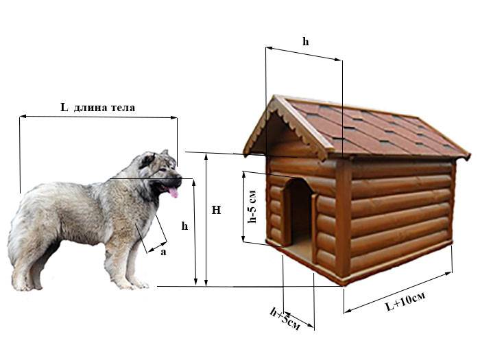 Будка для собаки – как сделать своими руками. чертежи, лучшие проекты и пошаговые инструкции по строительству