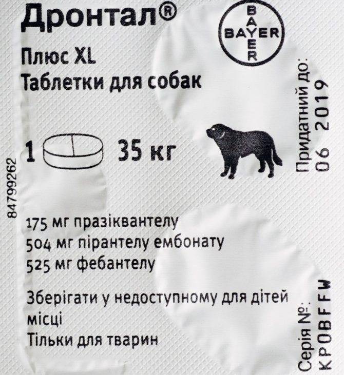 Советы, как выбрать таблетки от паразитов для собаки