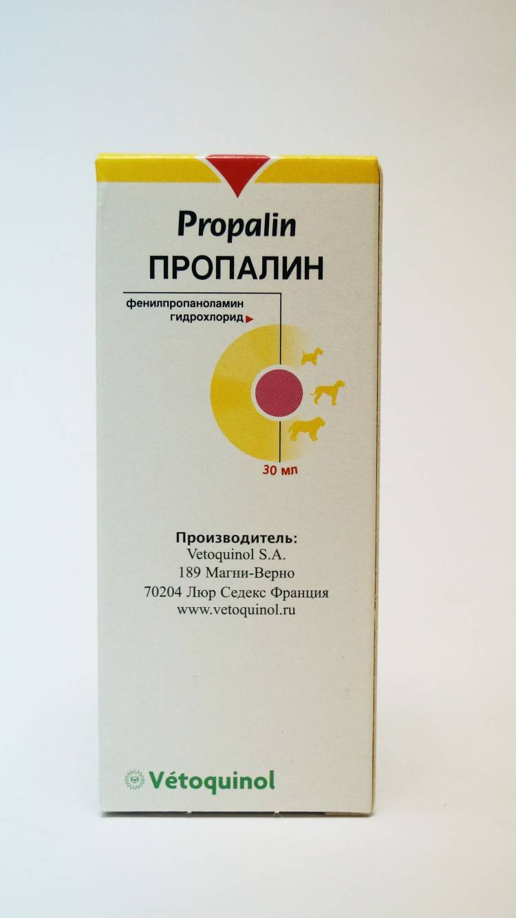 Пропалин сироп - купить, цена и аналоги, инструкция по применению, отзывы в интернет ветаптеке добропесик