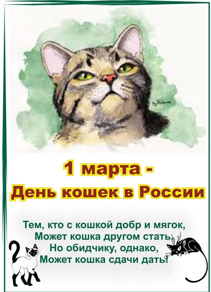 Всемирный день кошек - праздник 8 августа