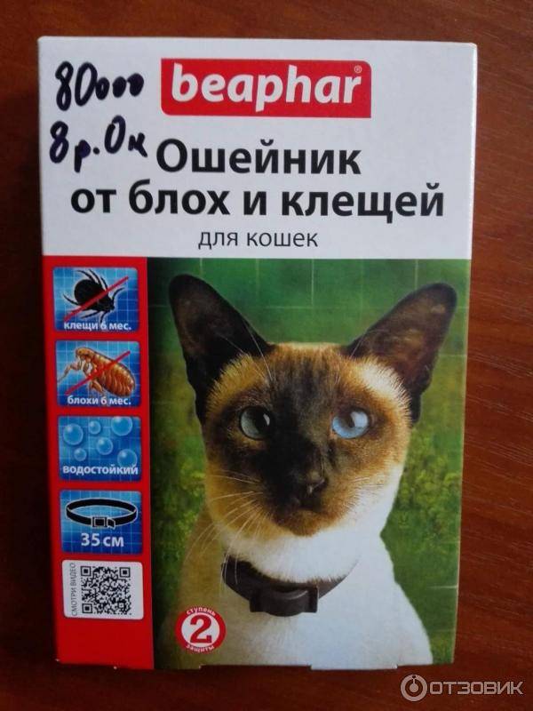 Ошейники от блох: обзор популярных видов, отзывы, принцип действия, правила использования