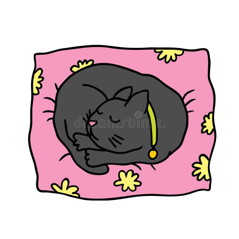 Почему кошки спят на человеке?