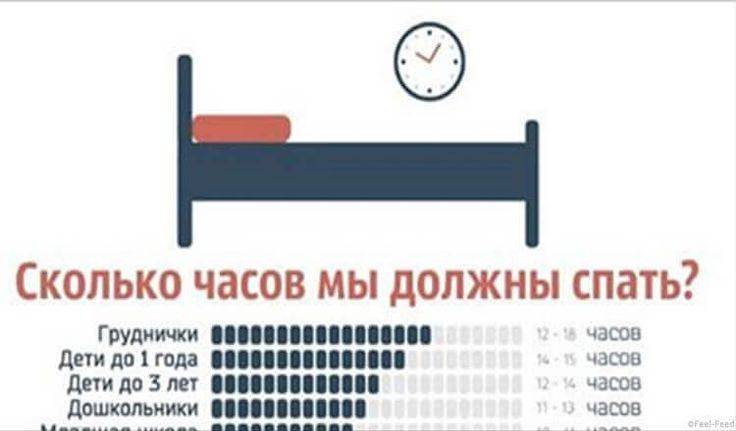 ᐉ сон у собаки: сколько спят собаки в сутки, сколько должен спать щенок в 2 месяца, длительность и фазы собачьего сна - kcc-zoo.ru