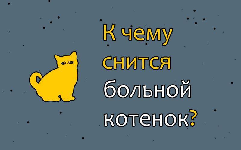 К чему снится кот - значение сна кот по соннику