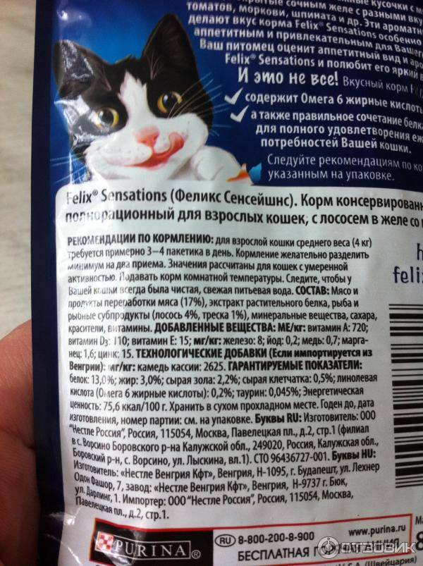 Влажные корма для кошек: компоненты, бренды, выбор, режим кормления