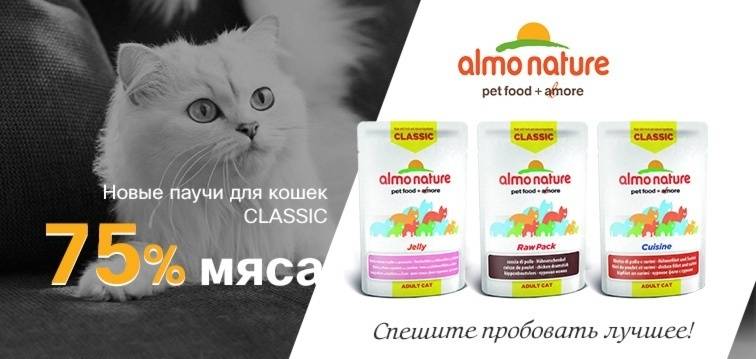 Almo nature (корм для кошек и котят): описание