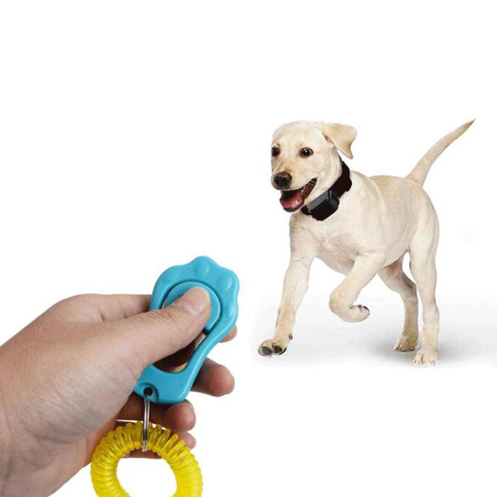 Кликер для собак: дрессировка с бесшумным свистком