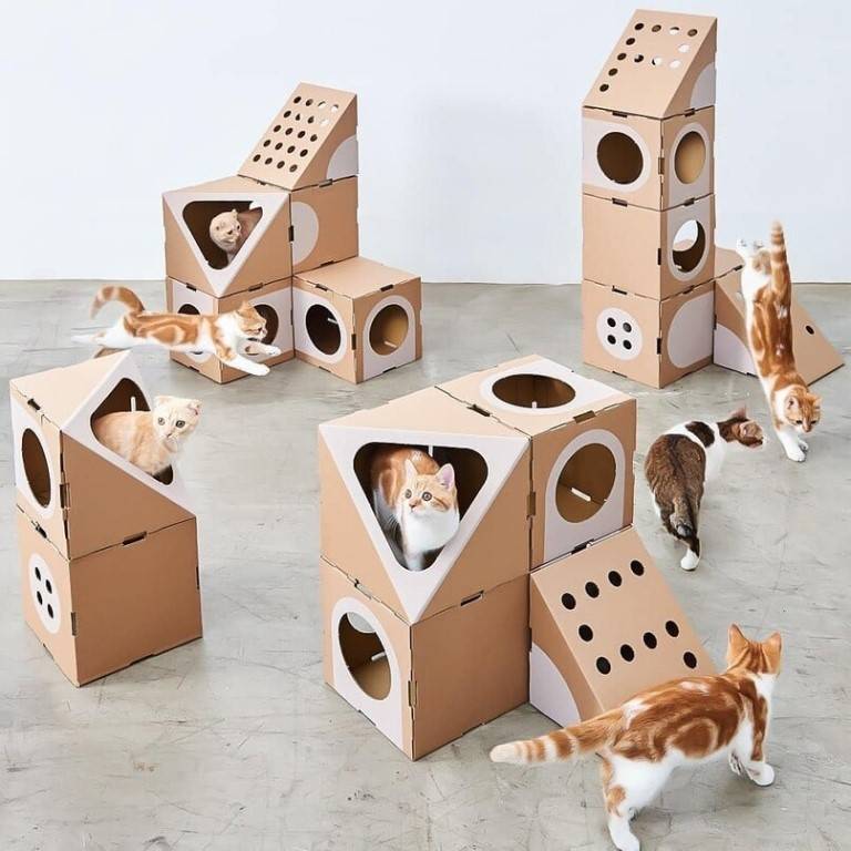Домик для кошки своими руками: особенности конструкций, подробная инструкция по изготовлению