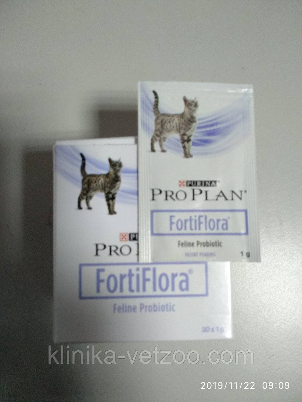 Фортифлора для собак: нюансы применения эффективного пробиотика | beauty-line14a.ru