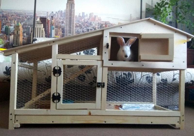 Домик для декоративного кролика: как сделать красивое жилище из простых материалов