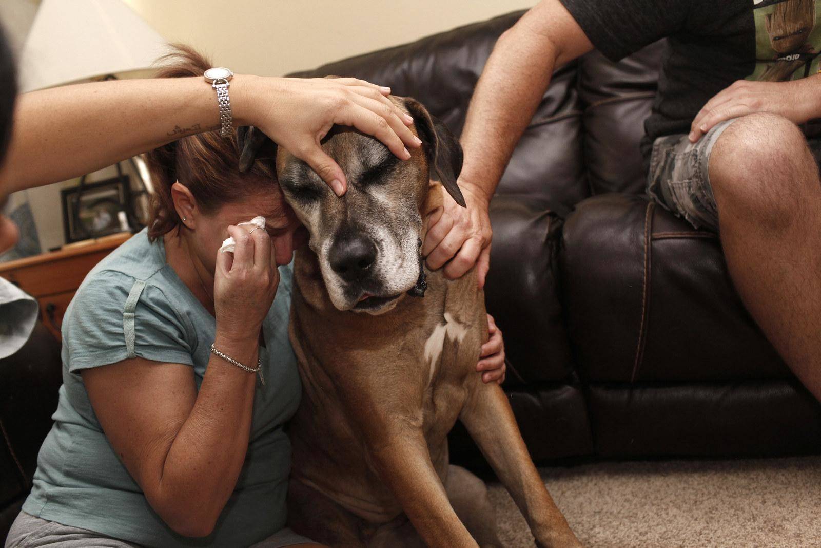 24 примера, когда домашние животные чуть не довели своих владельцев до сердечного приступа