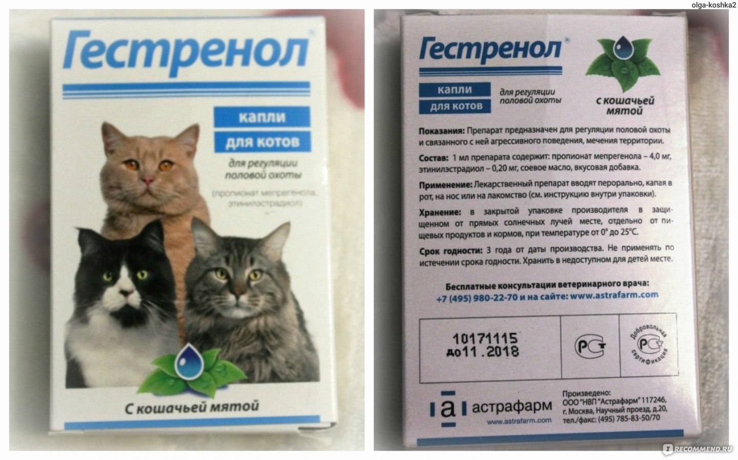 Лиарсин для кошек - инструкция к применению, дозировка - kotiko.ru