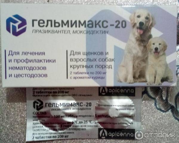 Гельмимакс для собак: показания и инструкция по применению, отзывы, цена