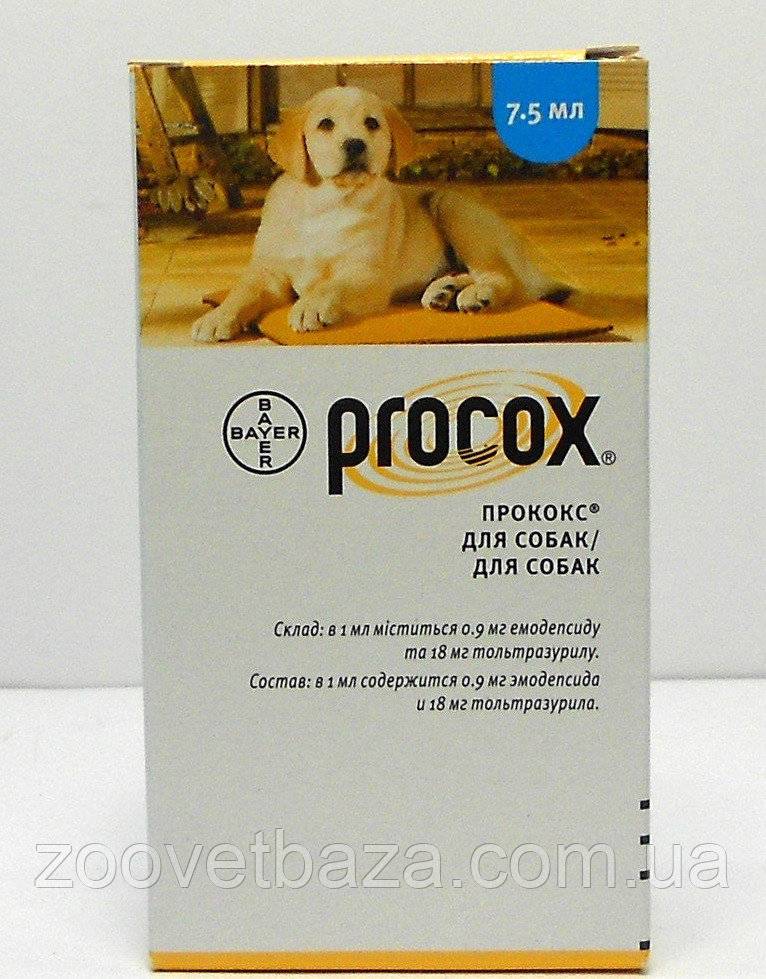 Прококс (procox), препарат против глистов и простейших паразитов