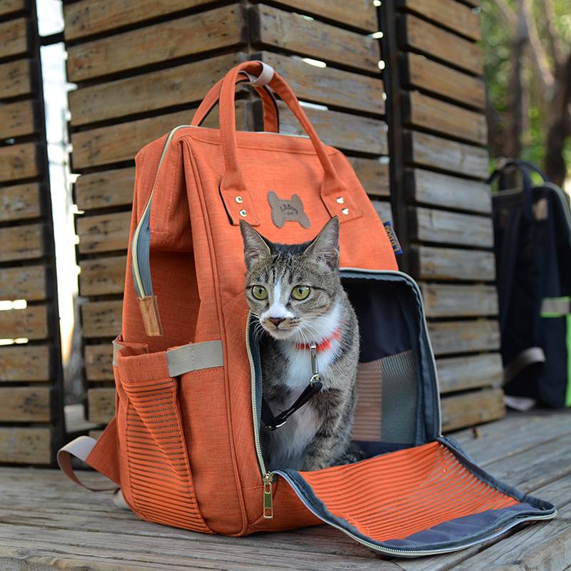 Переноска для кошек и котов: разновидности (сумка, рюкзак, пластиковая, клетка и другие), как выбрать, как сделать своими руками, отзывы