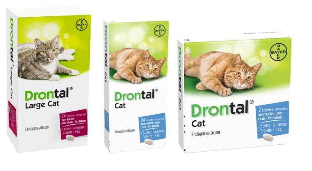 Дронтал для кошек: инструкция по применению