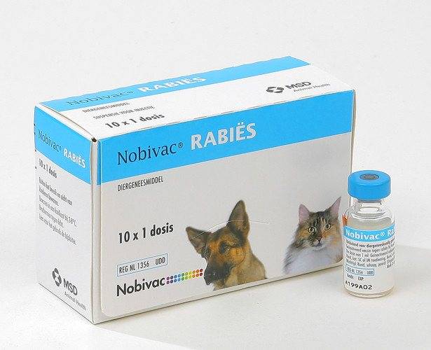 Нобивак rl, вакцина для собак против бешенства и лептоспироза