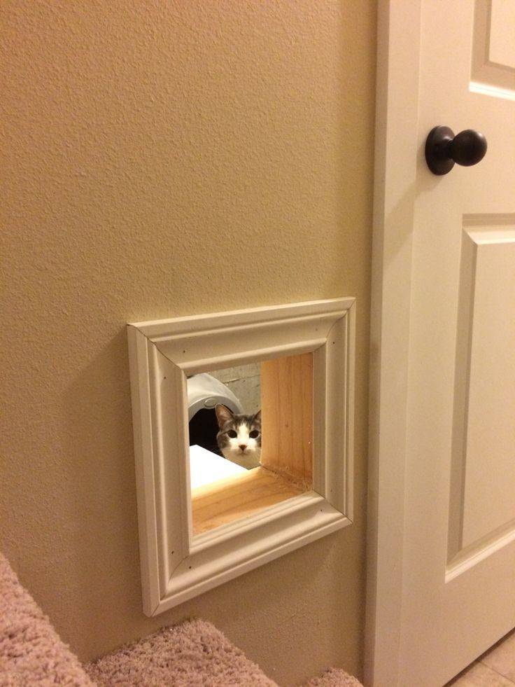 Как выбрать дверку для кошки для входных дверей или сделать своими руками?