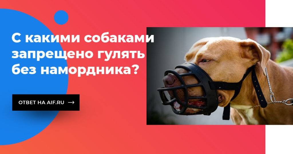 Закон о выгуле собак в 2021 году: правила и штрафы в россии