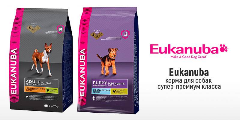 Корм eukanuba для собак и кошек, цены на корм премиум класса - купить с доставкой в москве в интернет магазине кормовозоф.ру