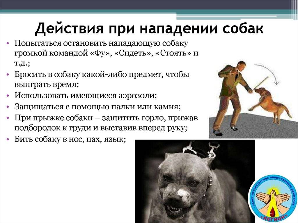 Ответственность собственника собаки, если она укусила ребенка