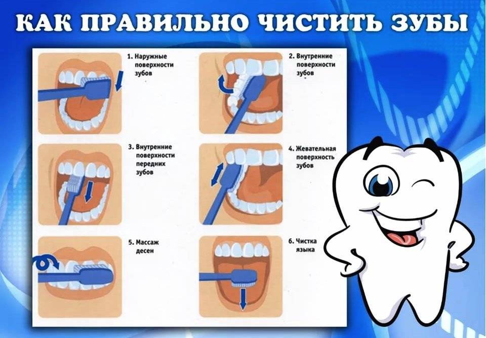 Как правильно чистить язык – зачем это нужно, есть ли польза или вред при чистке зубов от налета по утрам, что это дает и как часто можно и надо делать процедуры