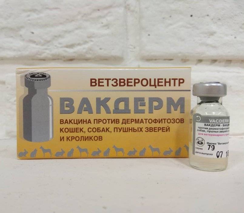 Нобивак dhppi, комплексная вакцина для собак